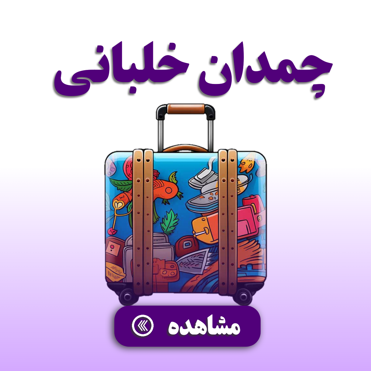 چمدان خلبانی 